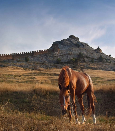 Сдак. Крепость