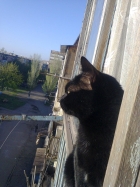 а это может быть интересно....