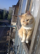 "ну фотографируй уже, а то солнце в глаза..."