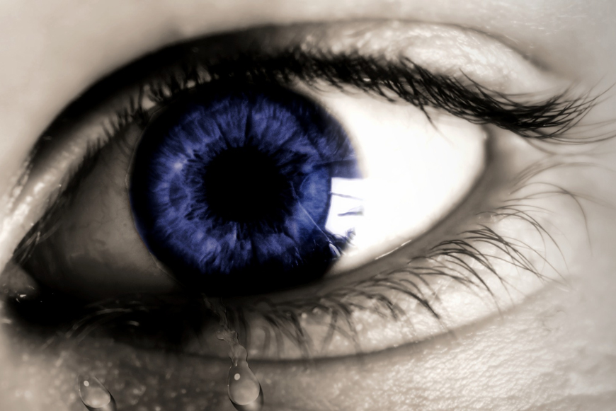Фото: pixabay.com